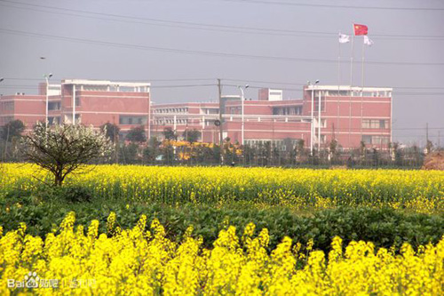 jpg容城新景.jpg