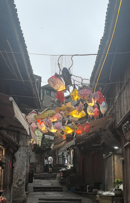 微信图片_20251026133657_60_17.jpg