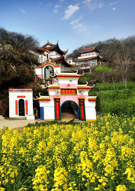 图片6.png