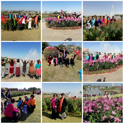 拼图花间留影.jpg
