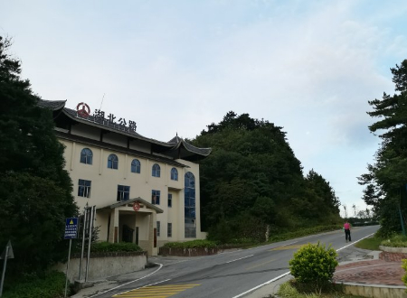 稿定设计导出-20200807-175024.jpg