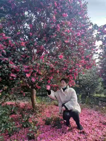 微信图片_20201207194906.jpg