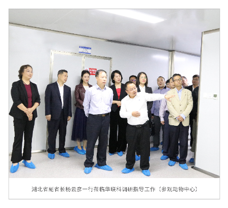 湖北省副省长杨云彦一行莅临华联科.jpg