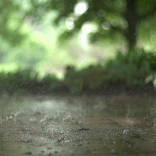 t015cf69640a70c7f1c.gif