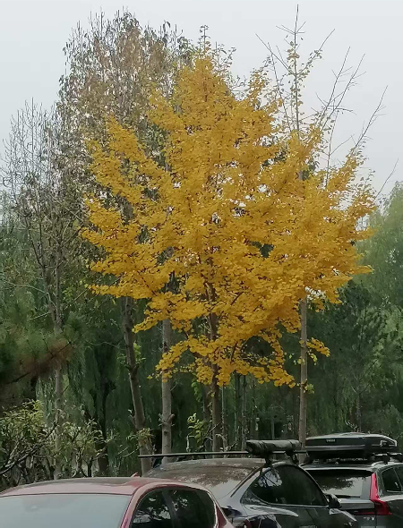 微信图片_20251107161136_109_2267.jpg