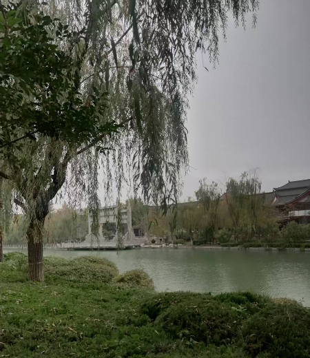 微信图片_20251107152252_101_2267.jpg