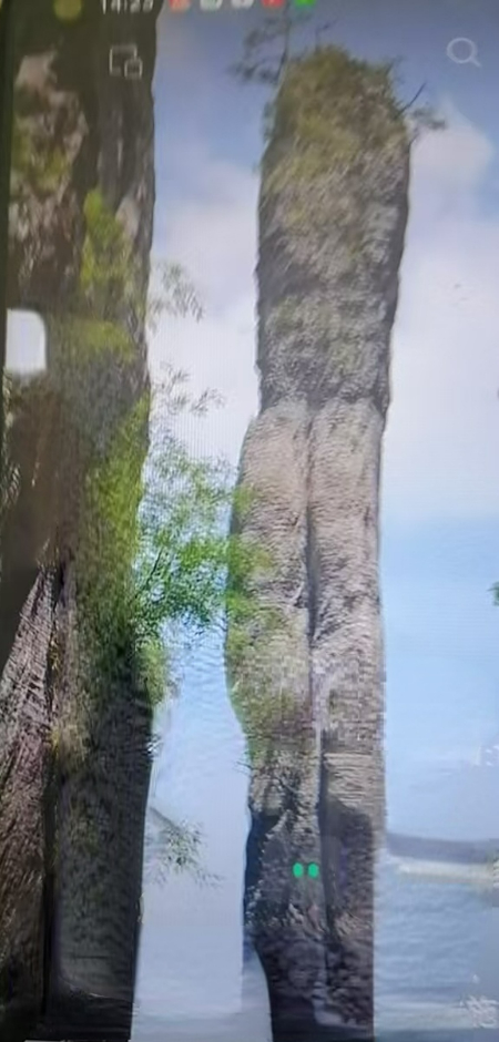 1792939449309795.jpg ba1155607cd85685bb81d43ff7780a83.jpg